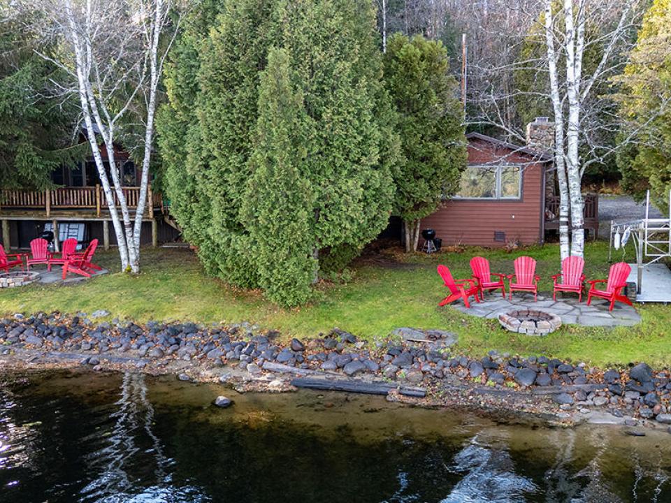 ColbyCabins_A_Bear_Moose_Close