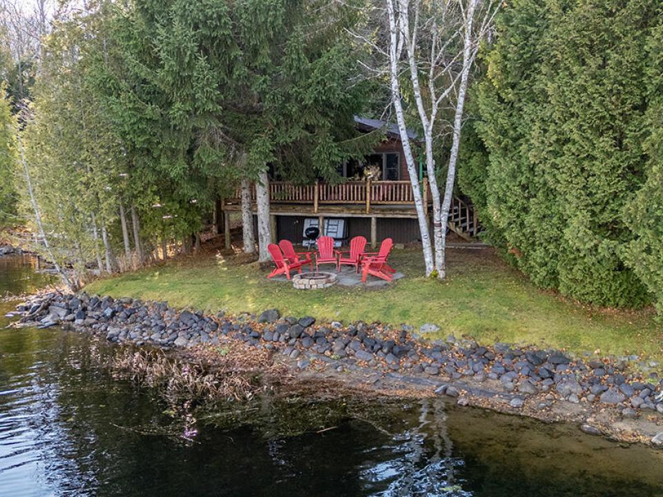 ColbyCabins_A_Moose_Close