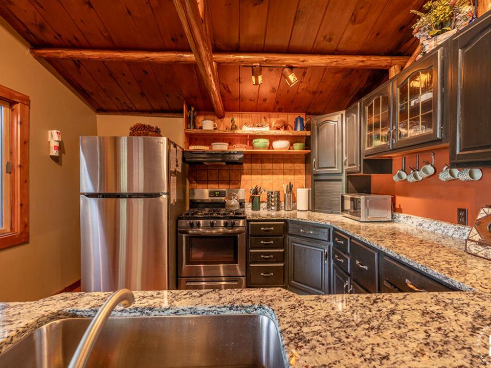 ColbyCabins_Bear_Kitchen_Sink