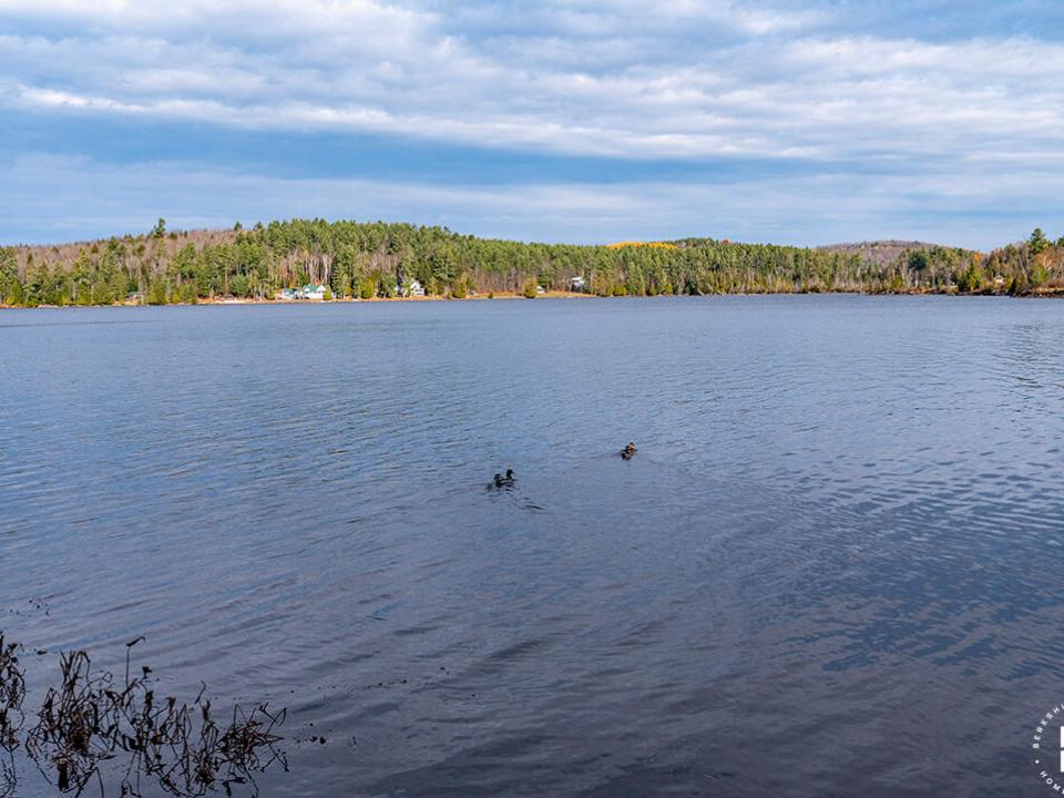 ColbyCabins_Moose_Lake_Duck