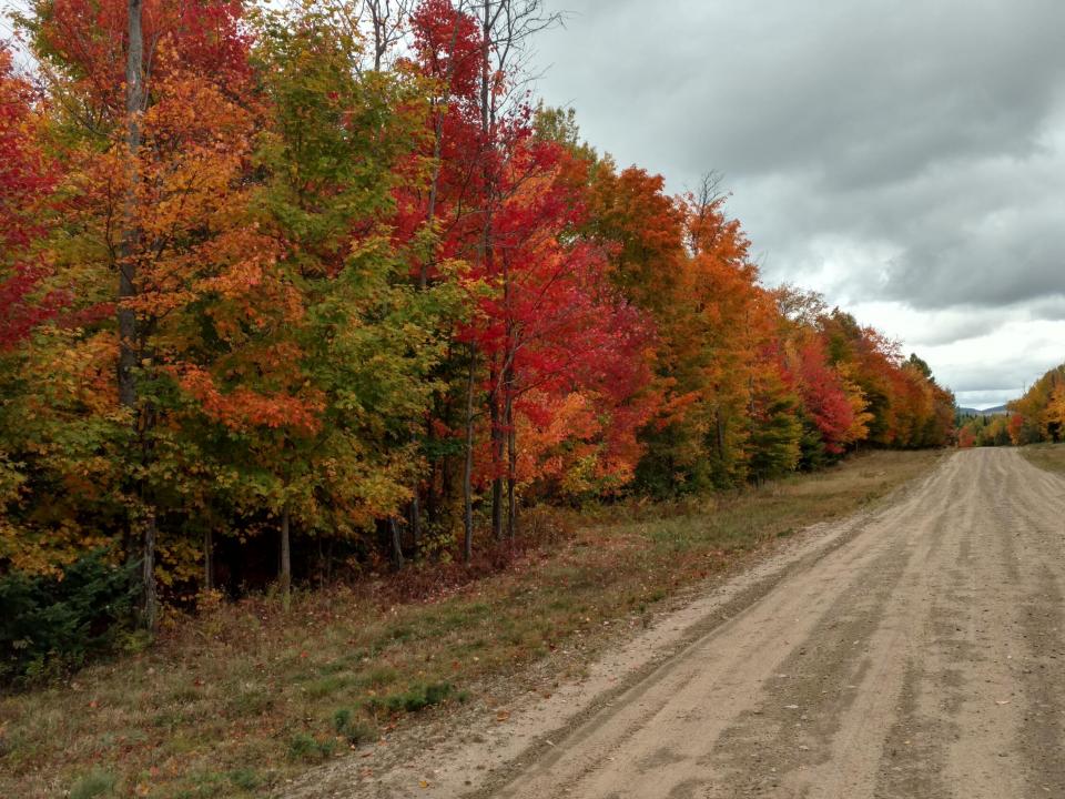 IMG_20161009_140257799_HDR