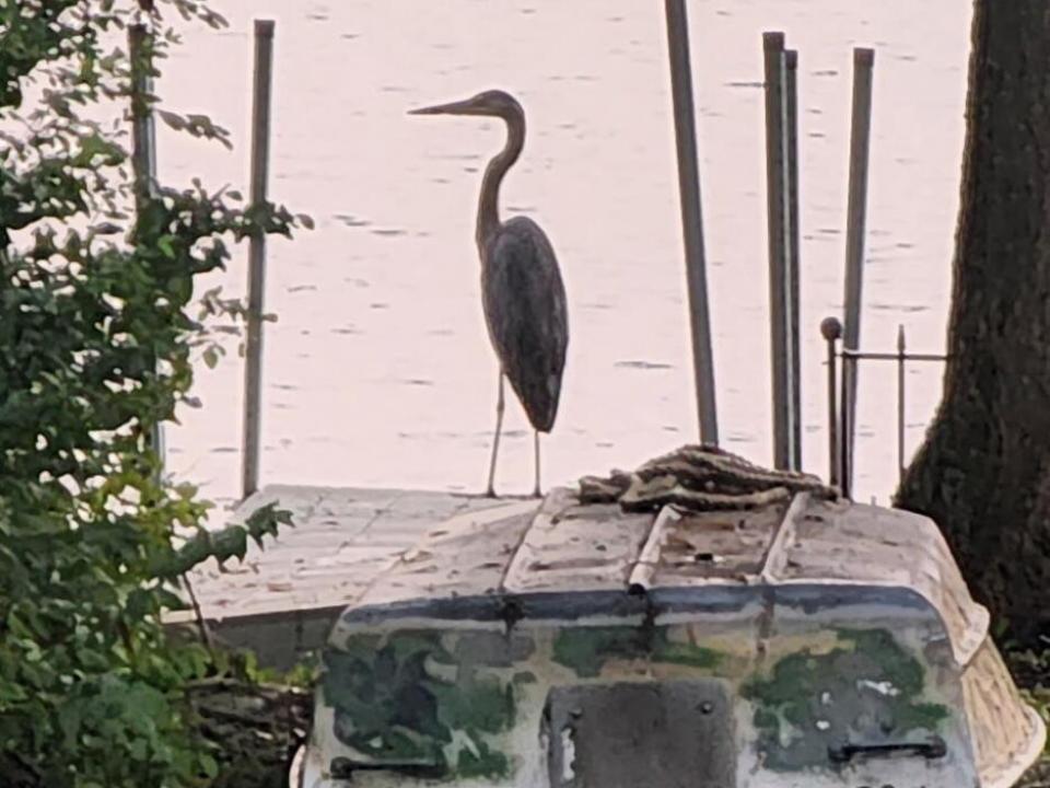 attachment1748370594755