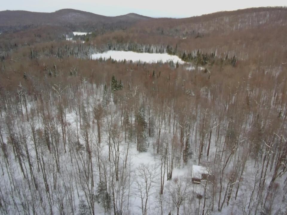 3059620_100DRONE_SING0266