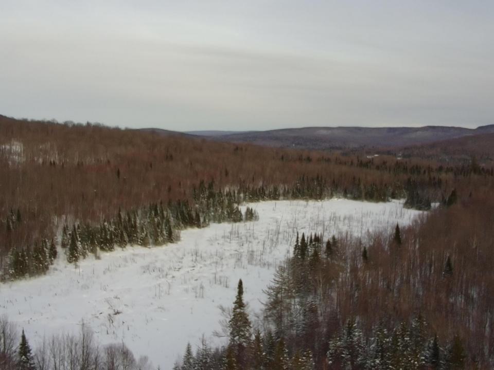 2707043_100DRONE_SING0264