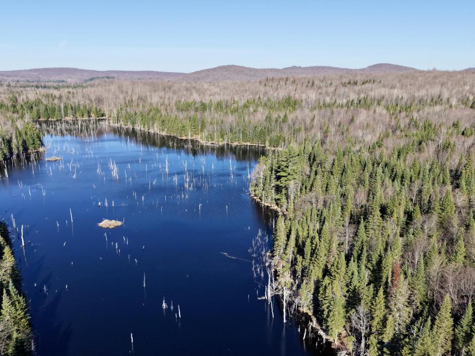 dji_fly_20260423_084720_0192_17769486628