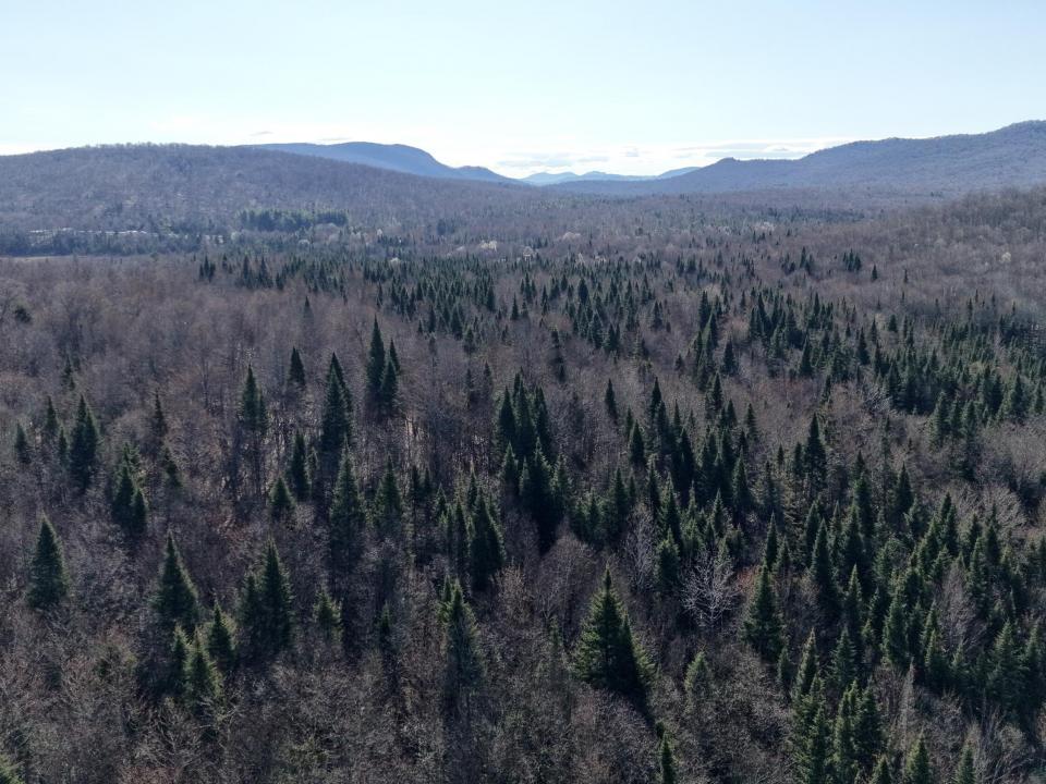 dji_fly_20260423_083902_0182_17769486849