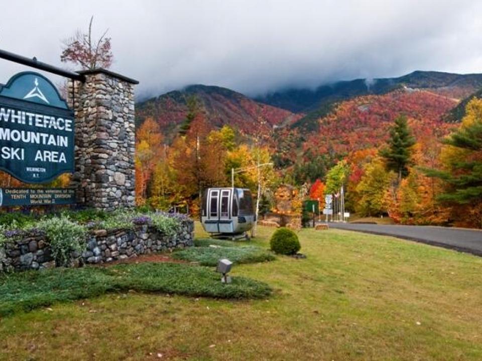 Photo courtesy of ROOST