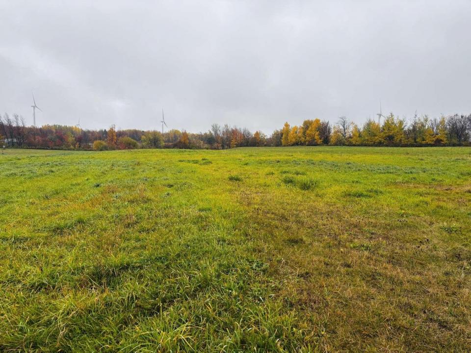 Vaincourtarmstrong.2