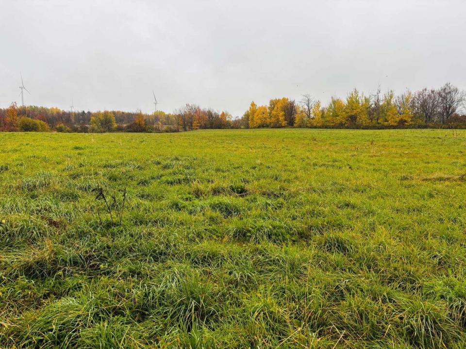 Vaincourtarmstrong.4