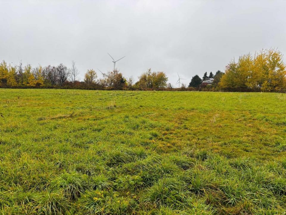 Vaincourtarmstrong.5