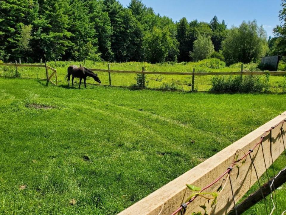 Screenshot_20260106-205807_Photos