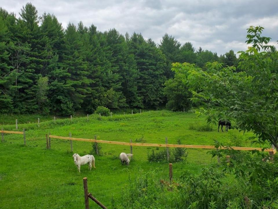 Screenshot_20260106-205843_Photos