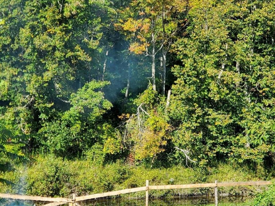 Screenshot_20260106-210642_Photos