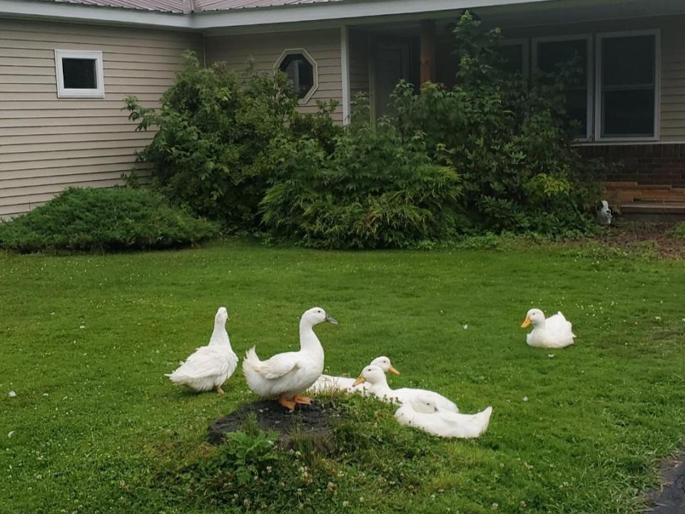 Screenshot_20260106-211126_Photos