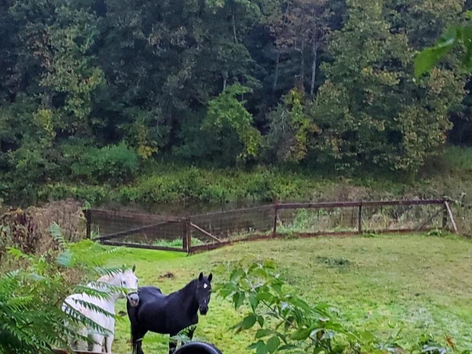 Screenshot_20260106-211907_Photos