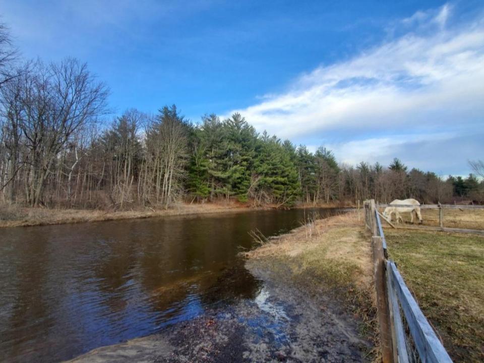 Screenshot_20260107-092556_Photos