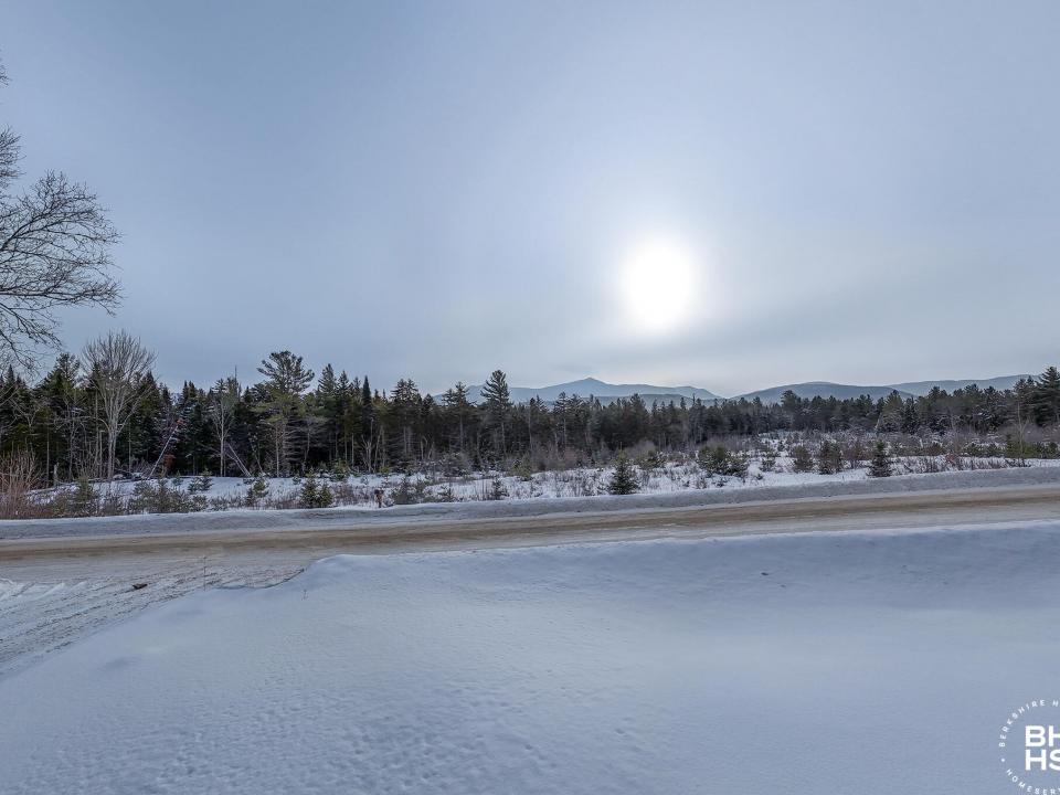 CapeCodOnFletcherFarm_A_View_Yard