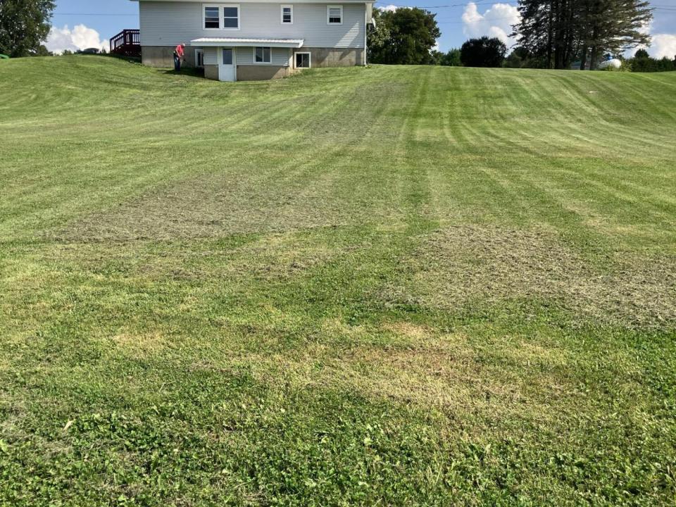 att.6LIln_sCzl8JMTo3ex_4APJPUxK1kulfQEK8