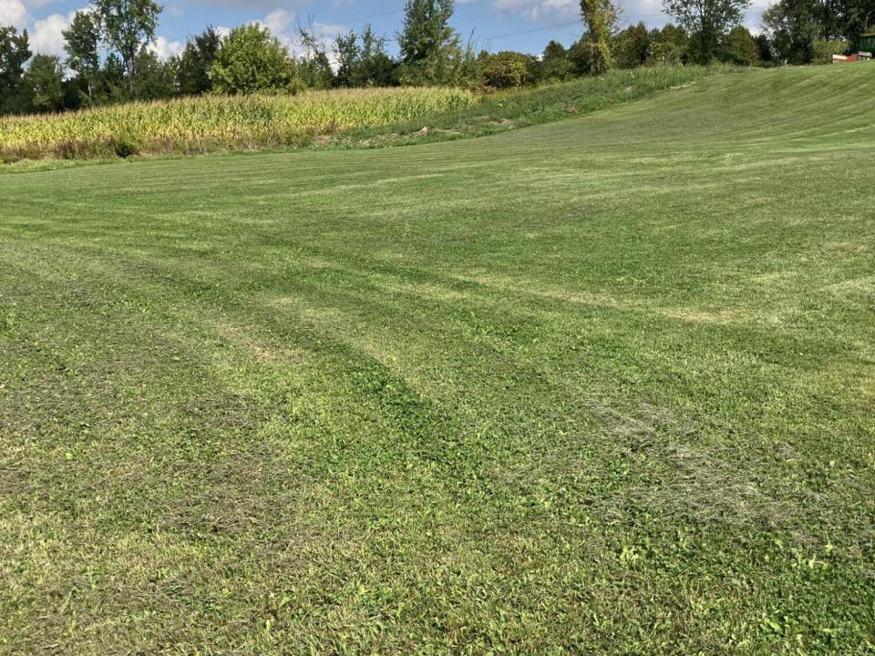 att.tvqOonBdVJkkLPF1GKqApLzNVZV6MOYyFrrq