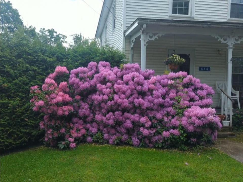 20250814140221365342000000-o