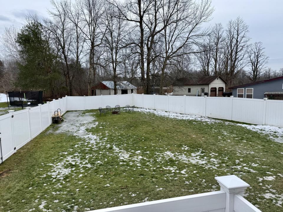 Back yard