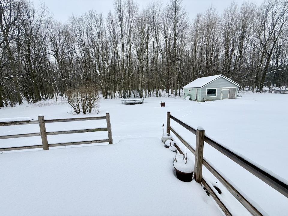 Back yard