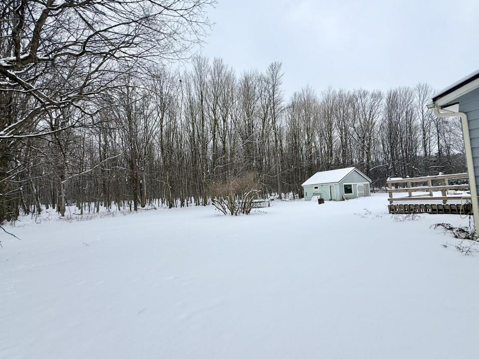 Back yard