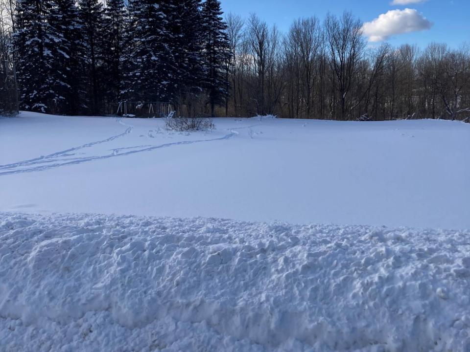 Side Lawn