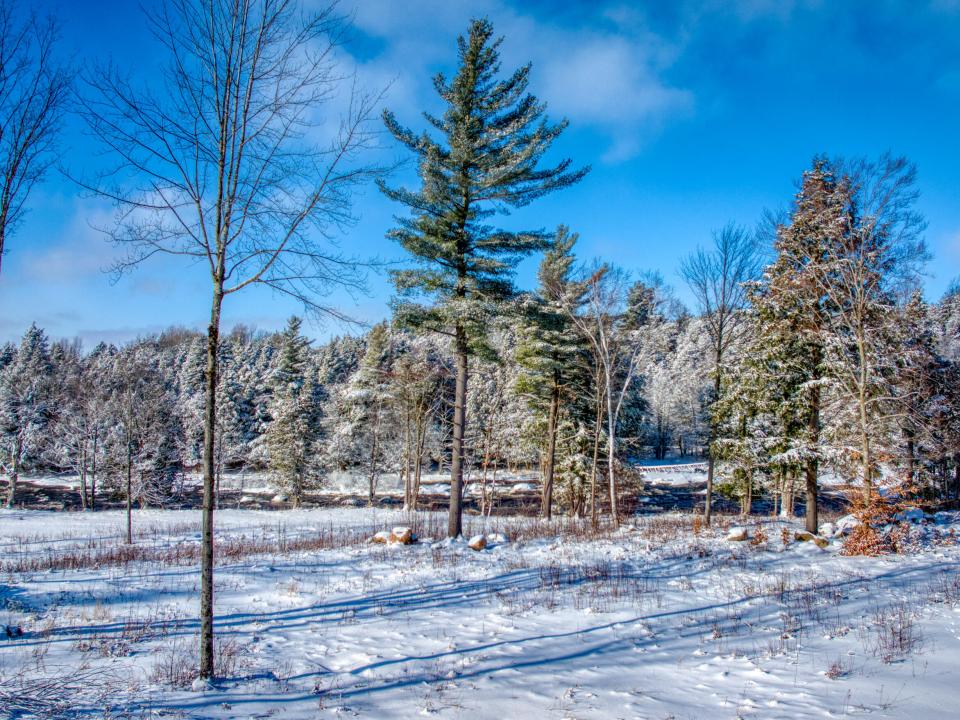 DJI_20260116111722_0117_D