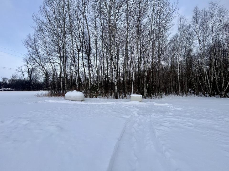 Propane Tank & Generator