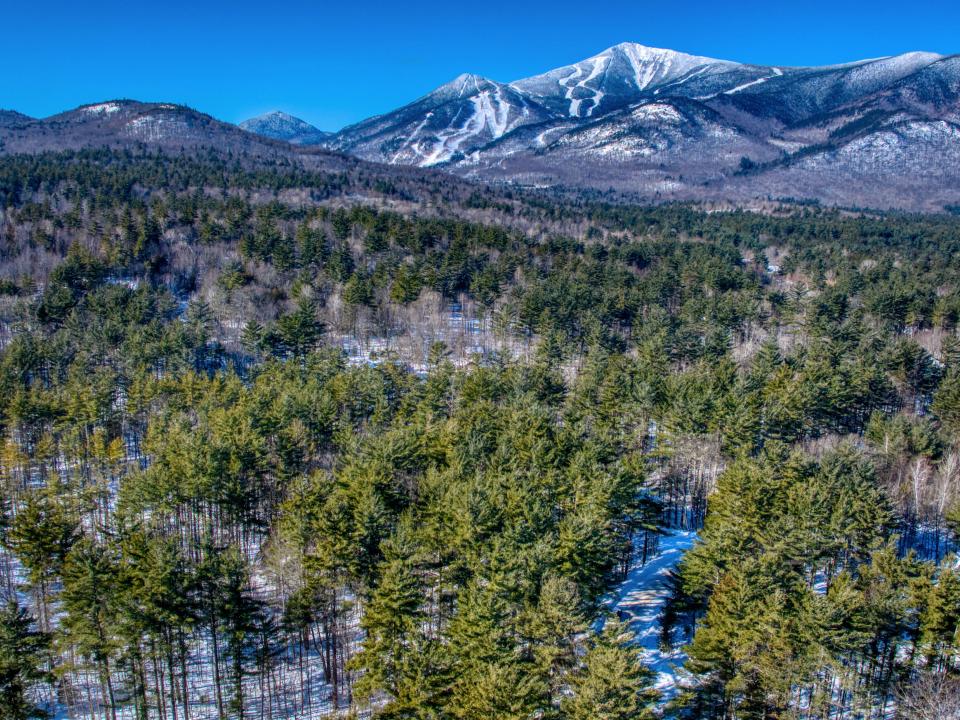 DJI_20260201111109_0206_D