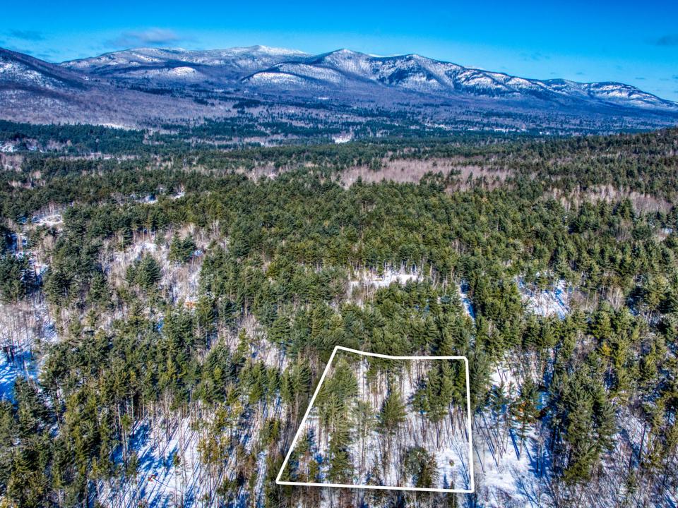 DJI_20260201111306_0222_D copy