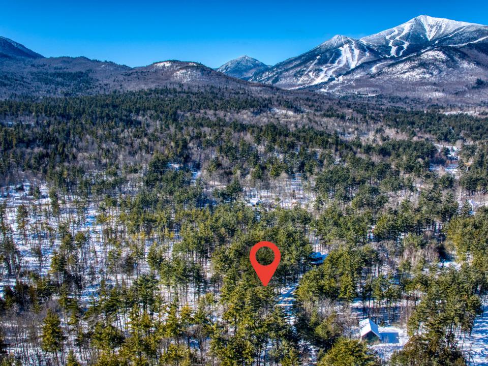 DJI_20260201111520_0236_D copy