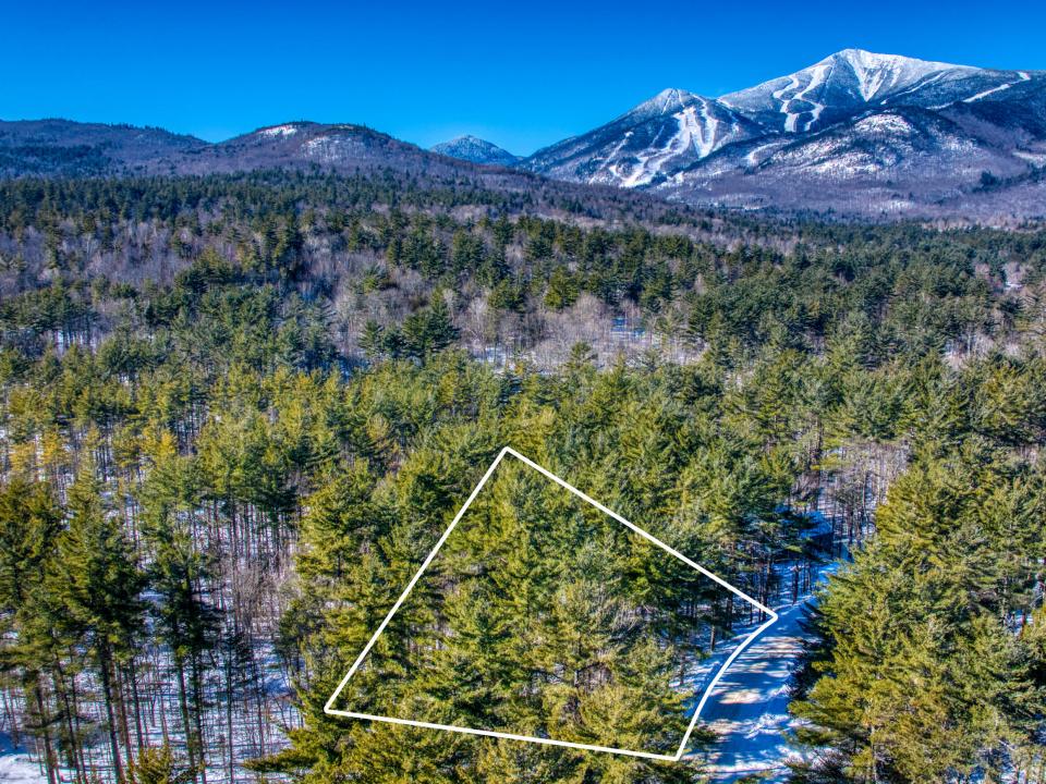 DJI_20260201111603_0241_D copy