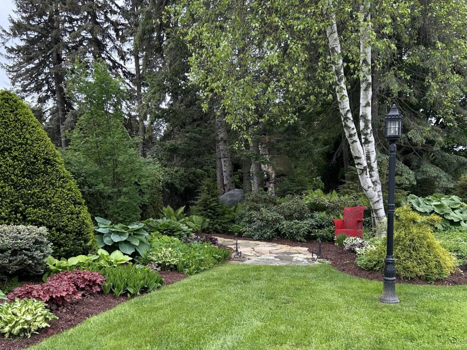 Backyard Garden