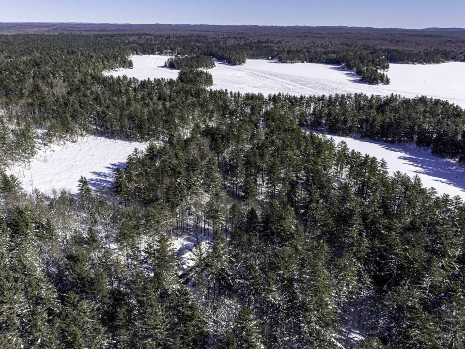 DJI_20260202120915_0135_D-HDR