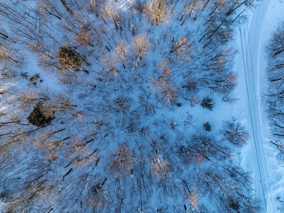 Lot13OnPanorama_A_Lot_Above