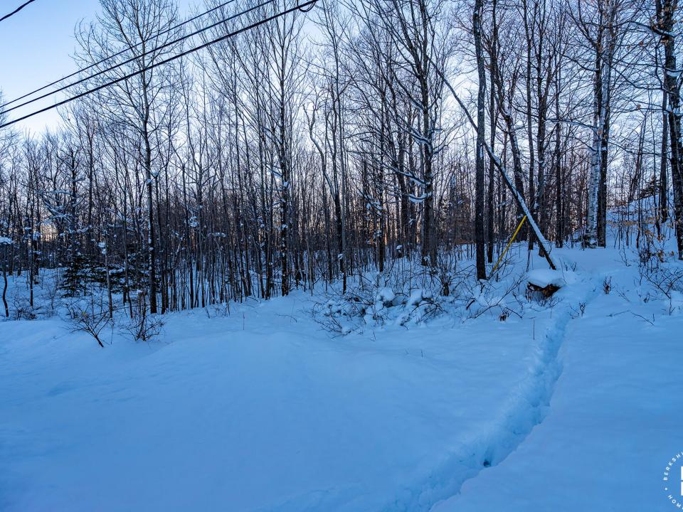 Lot13OnPanorama_Lot_Trees