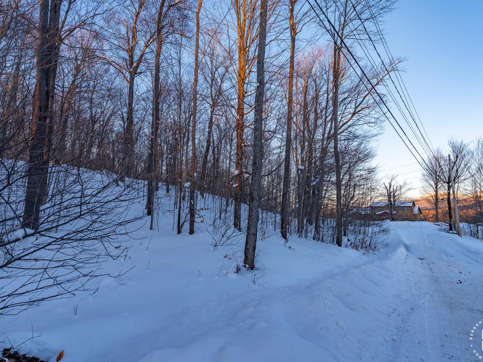 Lot19OnPanorama_Lot_L