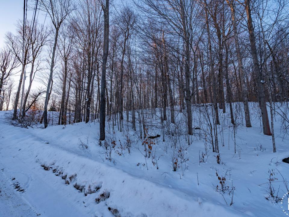 Lot19OnPanorama_Lot_R