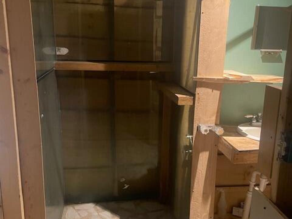 Upstairs Bath Shower