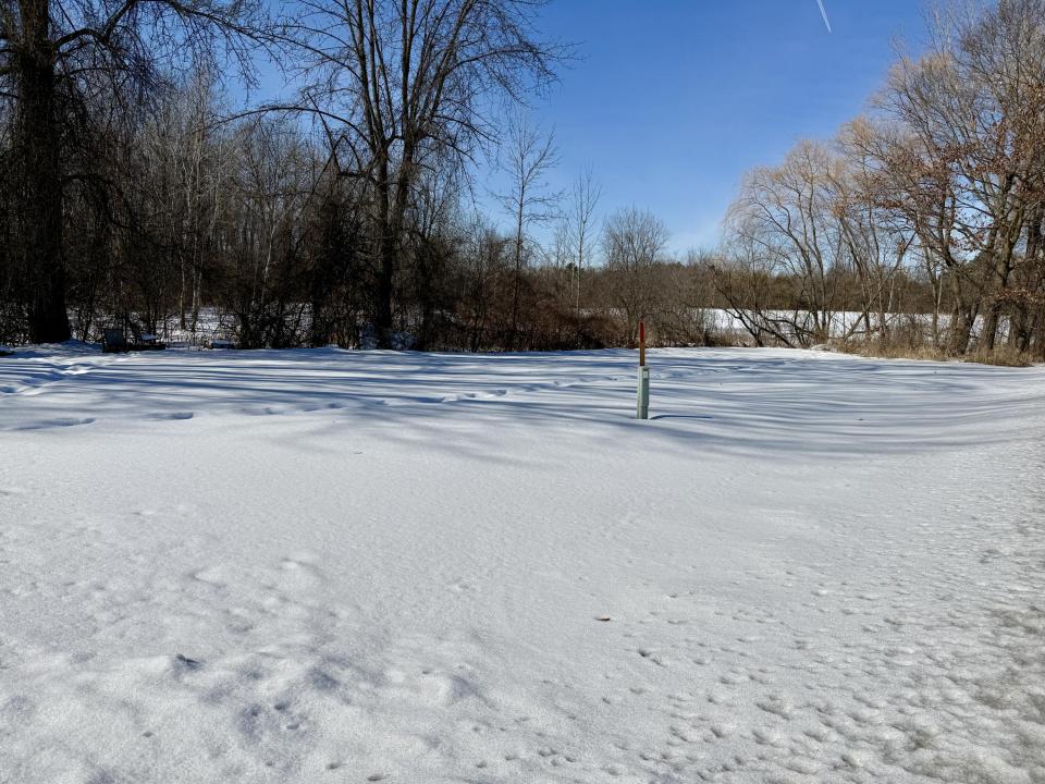 Side Yard