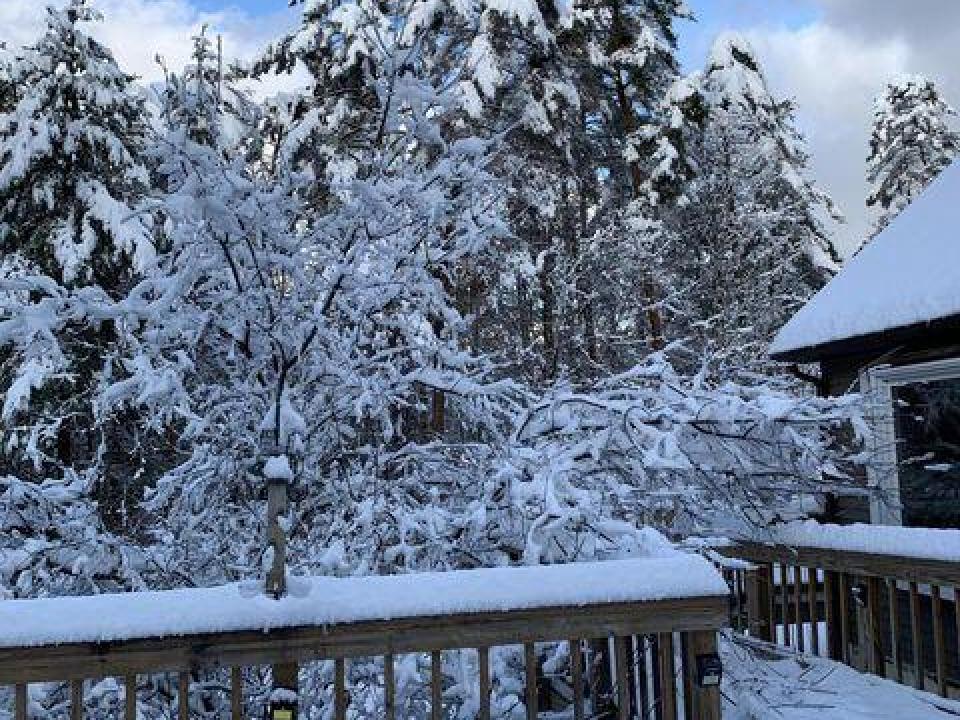 20240822035508585500000000-o