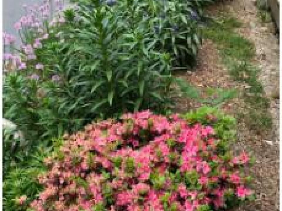 Screenshot 2026-02-25 140531