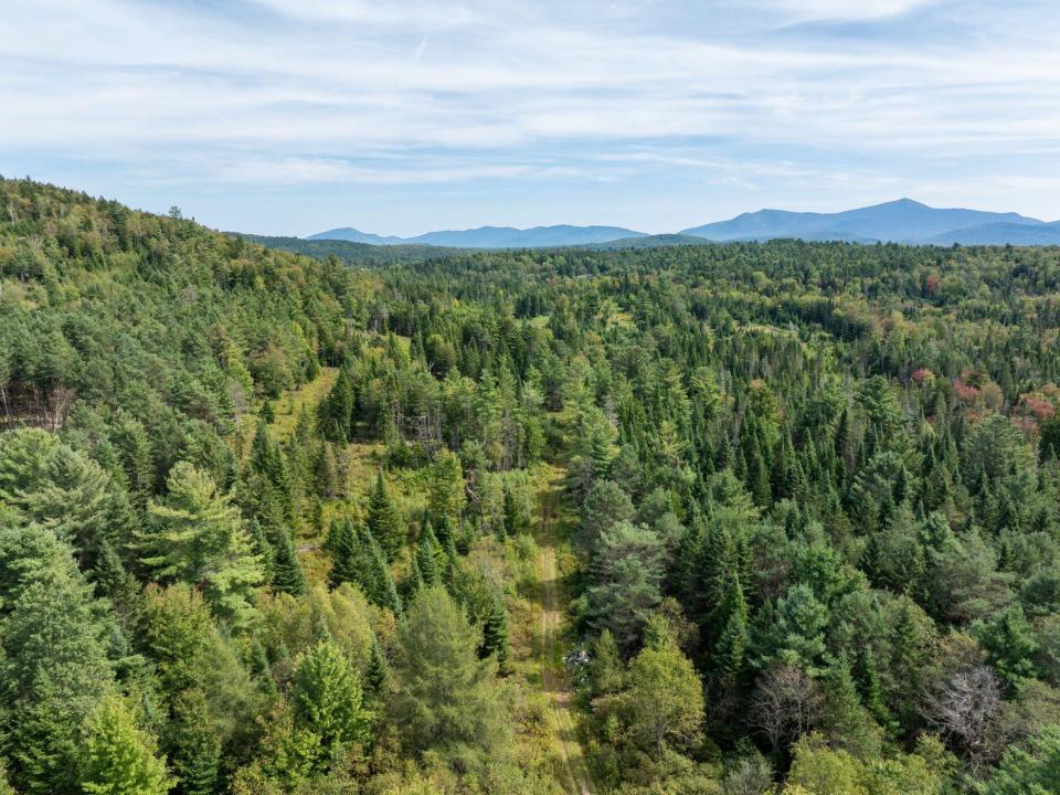 DJI_20240906131256_0320_D_JCM