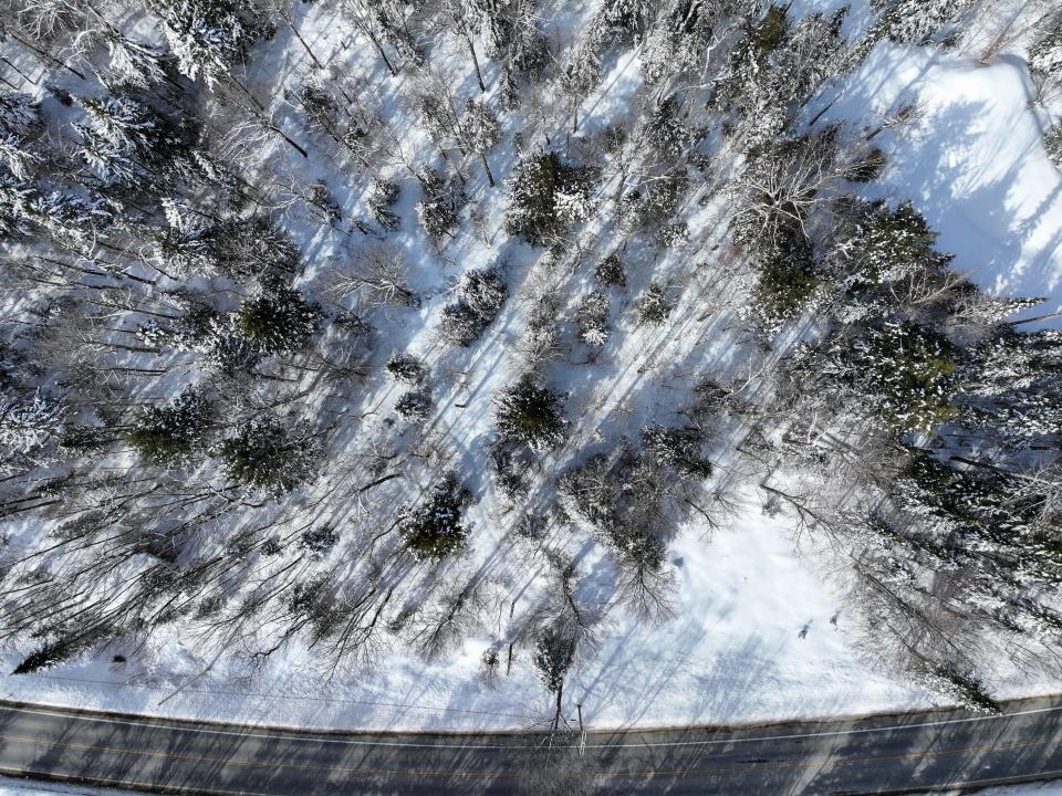 DJI_20260224103732_0045_D-2 (Copy)