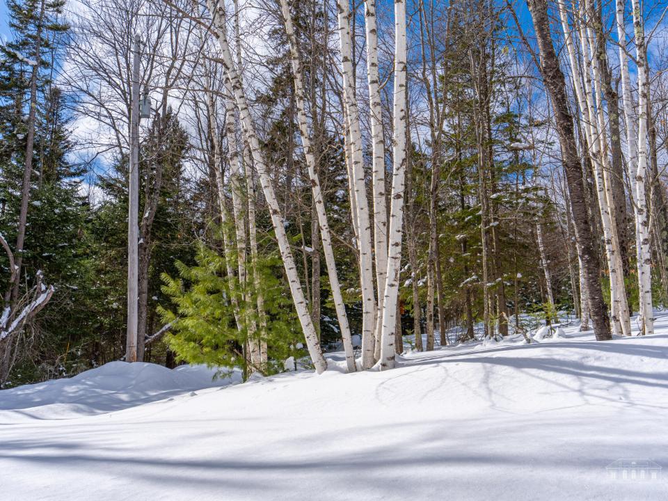8 Elis Way Keene-33