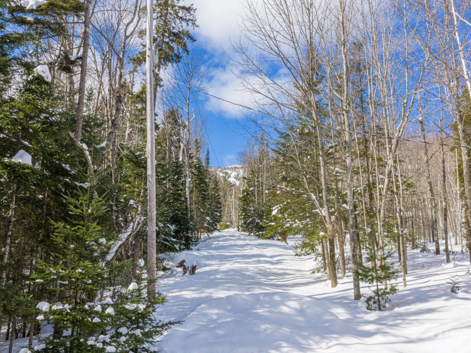 8 Elis Way Keene-34