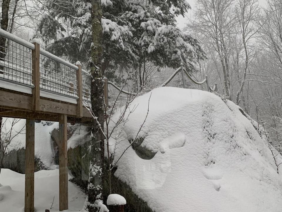 2164BEBE-8543-4C95-8E35-7CE6ADC53CC7-pre