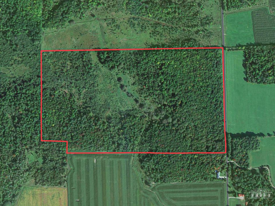 163 Callahan Rd Burke-1